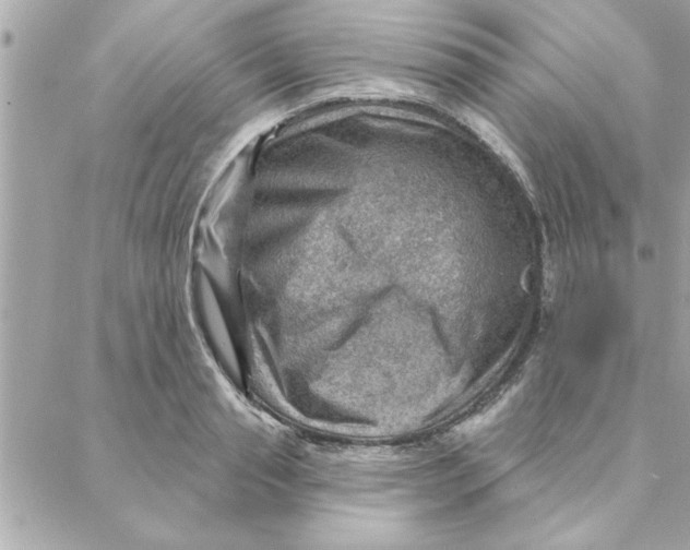 X0000088160845200706051049