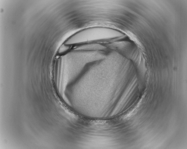 X0000088160846200706051049