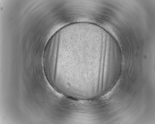 X0000088160847200706051049