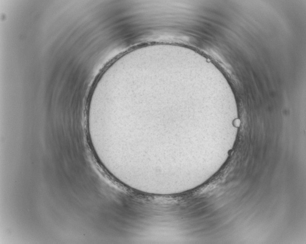 X0000088160848200706051049