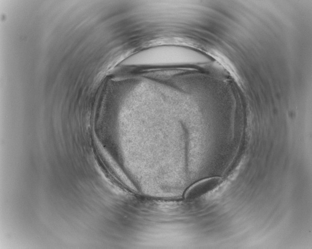 X0000088160849200706051049