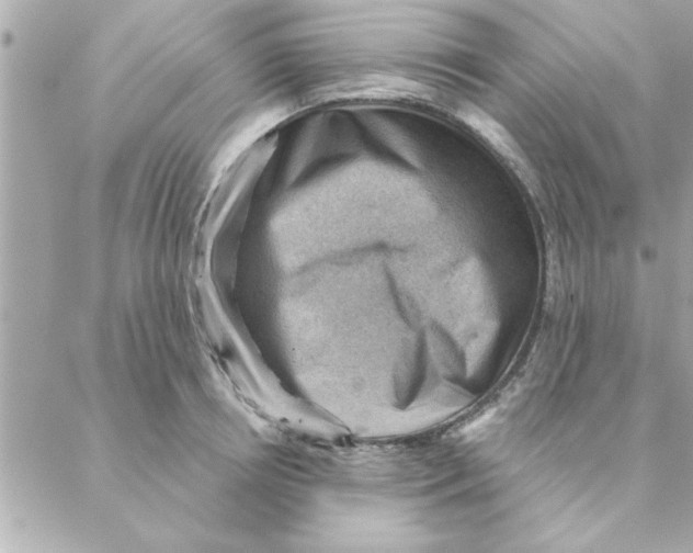 X0000088160850200706051049