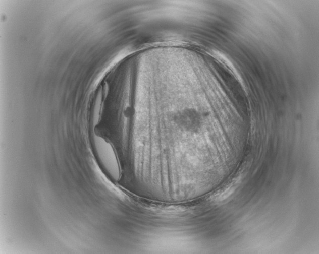 X0000088160851200706051049