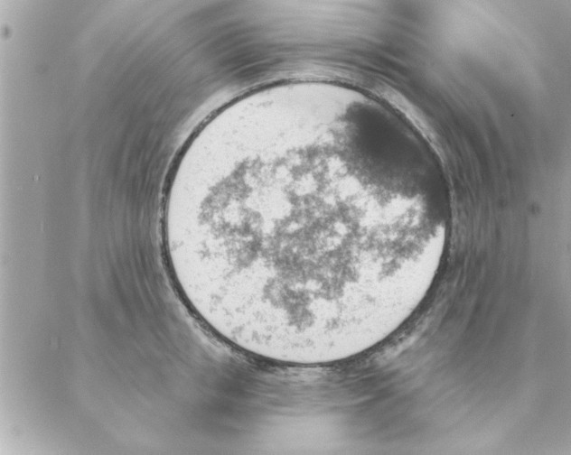 X0000088160853200706051049