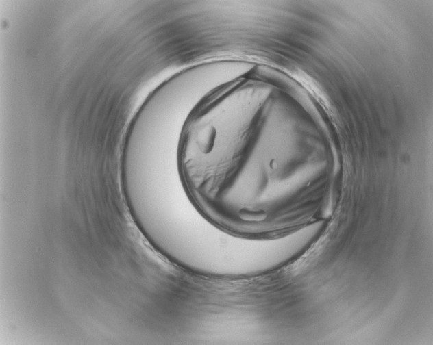 X0000088160854200706051049