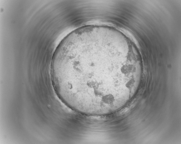 X0000088160855200706051049