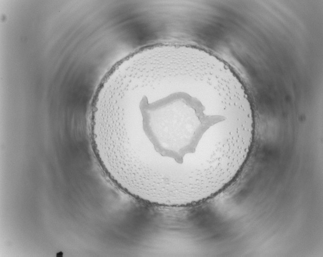 X0000088160856200706051049