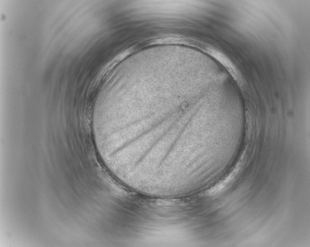 X0000088160857200706051049