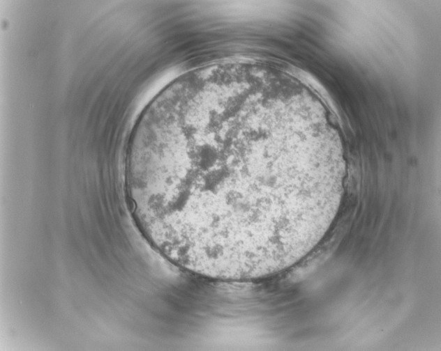 X0000088160859200706051049