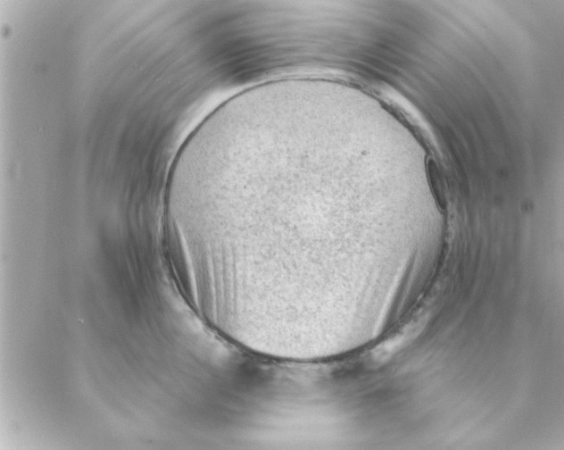 X0000088160860200706051049