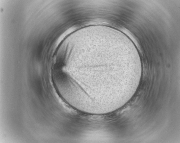 X0000088160861200706051050