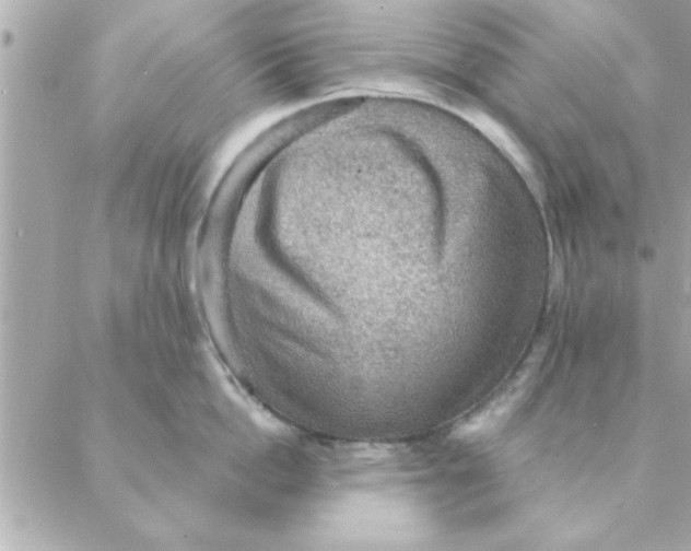 X0000088160862200706051050