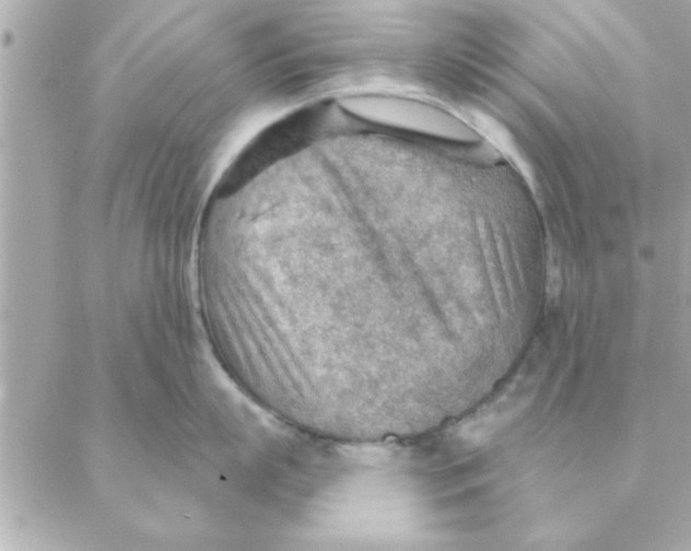 X0000088160863200706051050