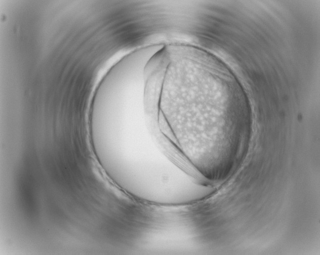 X0000088160864200706051050