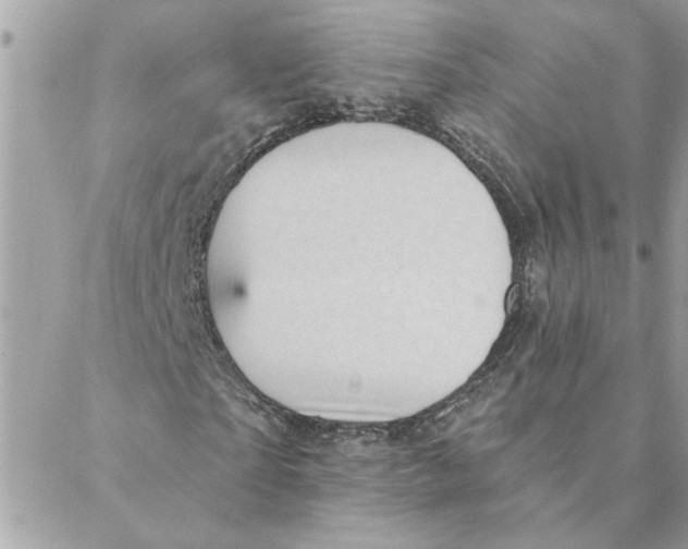 X0000088160865200706051049