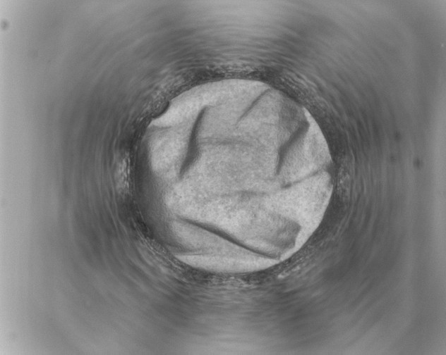 X0000088160866200706051049