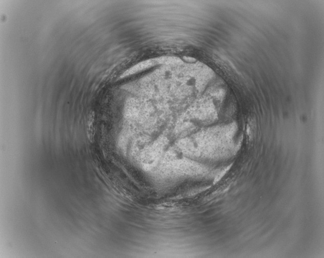 X0000088160867200706051049