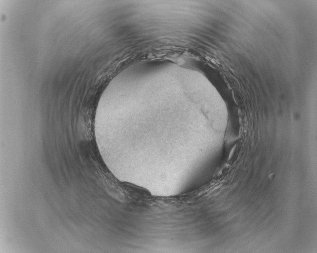 X0000088160868200706051049