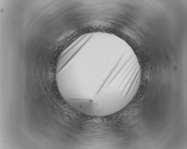 X0000088160869200706051049