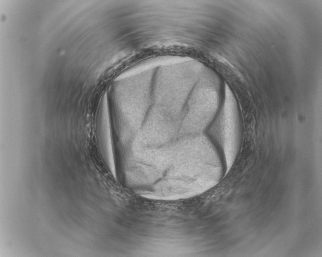 X0000088160870200706051049