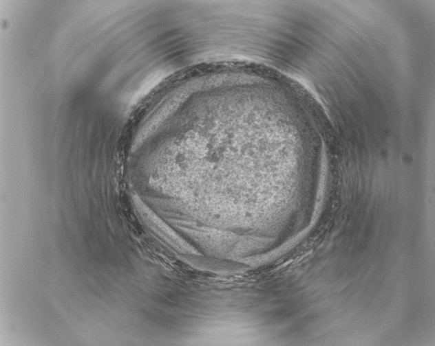 X0000088160871200706051049