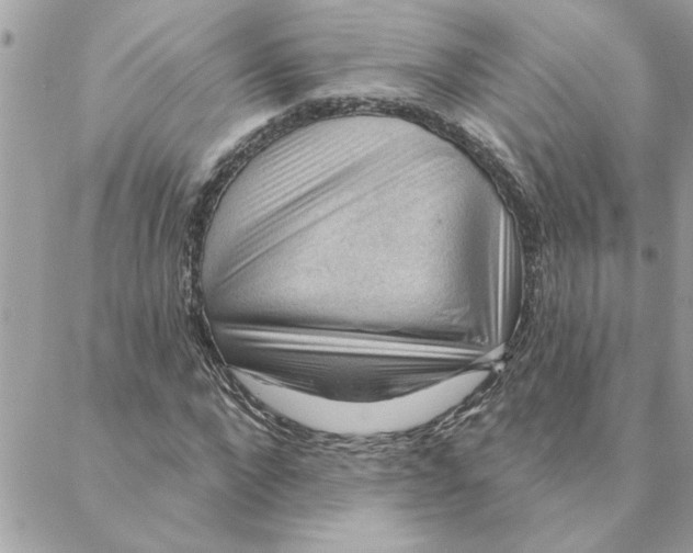 X0000088160872200706051049