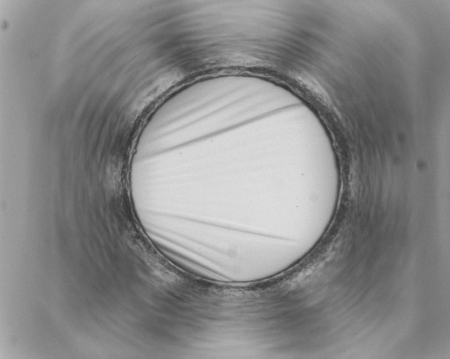 X0000088160873200706051049