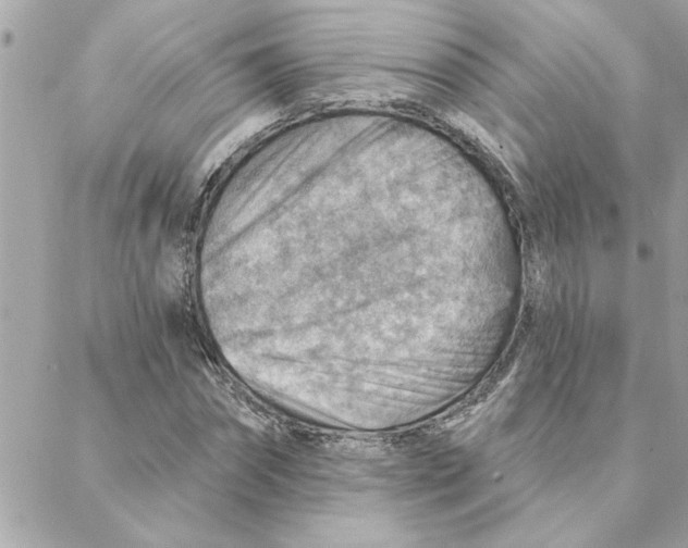 X0000088160874200706051049