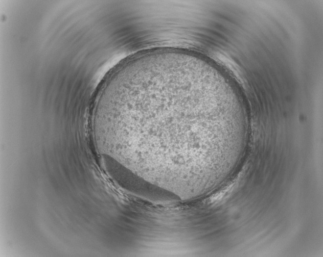 X0000088160875200706051049