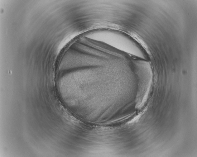 X0000088160877200706051049