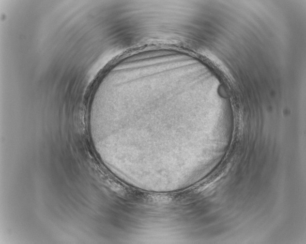 X0000088160878200706051049