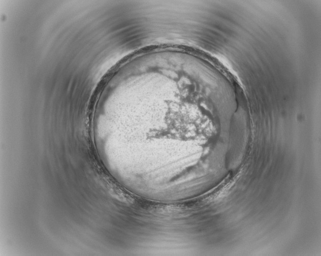 X0000088160879200706051049