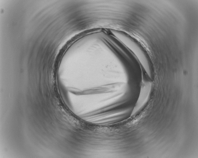 X0000088160880200706051049