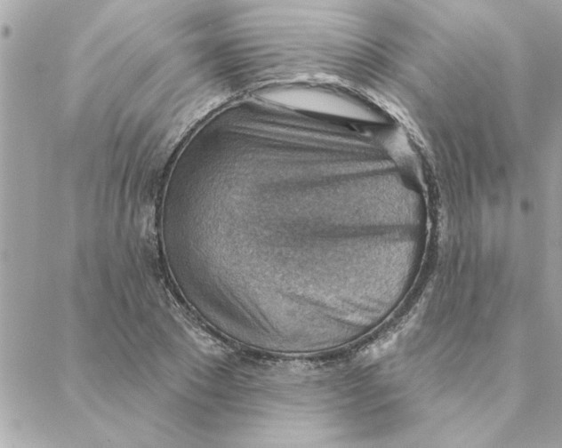 X0000088160881200706051049