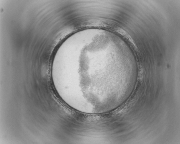 X0000088160882200706051048