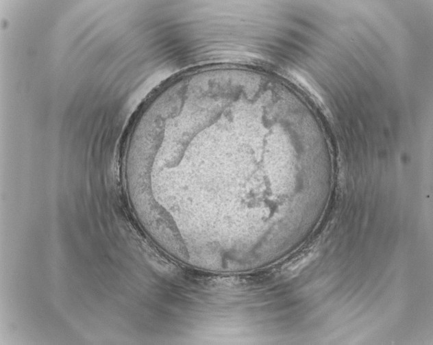 X0000088160883200706051048