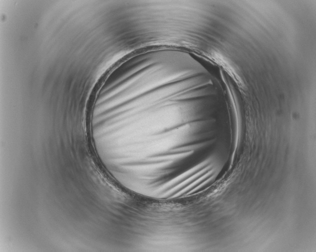 X0000088160884200706051048