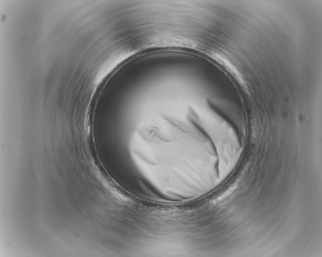 X0000088160885200706051048