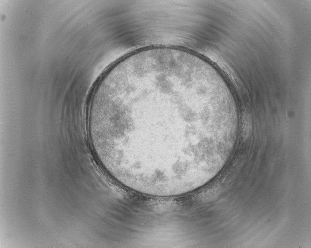 X0000088160886200706051048