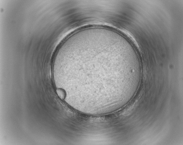 X0000088160887200706051048