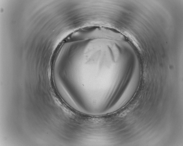 X0000088160888200706051048