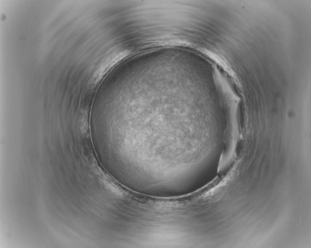 X0000088160889200706051048