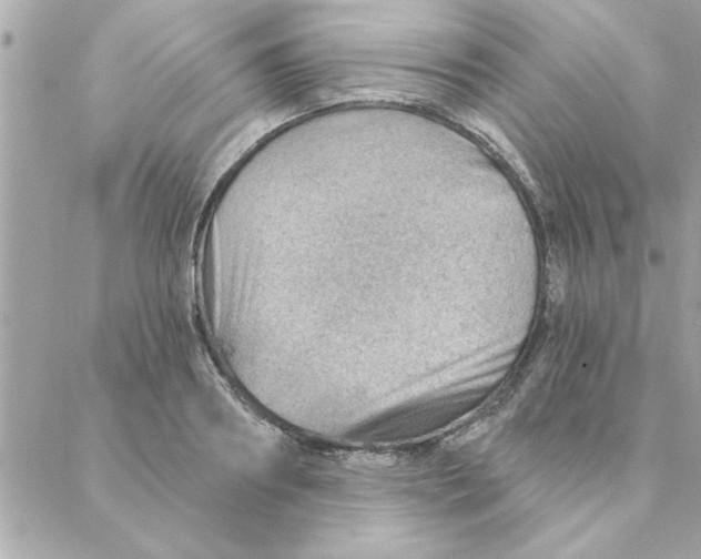 X0000088160890200706051048