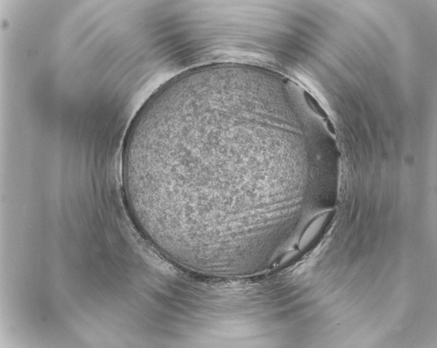 X0000088160891200706051048