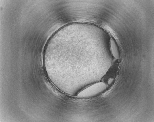 X0000088160892200706051048