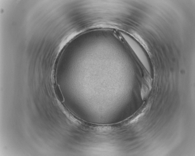 X0000088160893200706051048