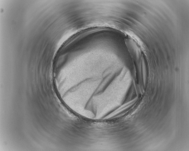 X0000088160894200706051048