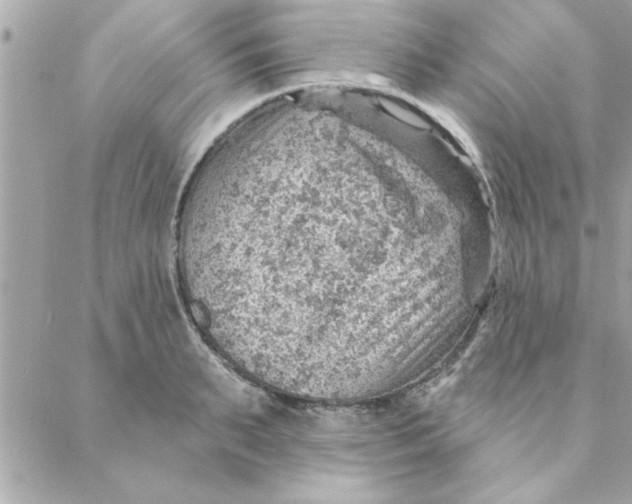 X0000088160895200706051048