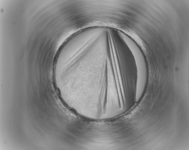 X0000088160896200706051048