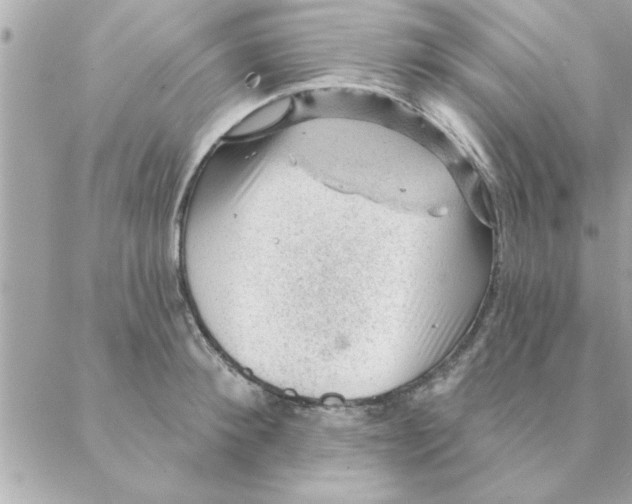 X0000088160900200706051048